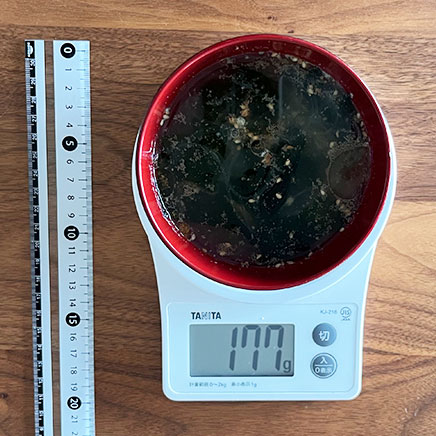 御椀1杯分のわかめと春雨のスープ