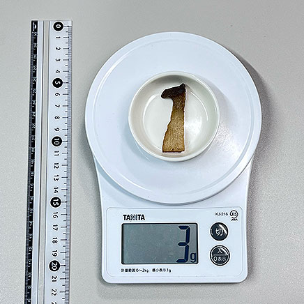 1切れ分のエリンギの素揚げ