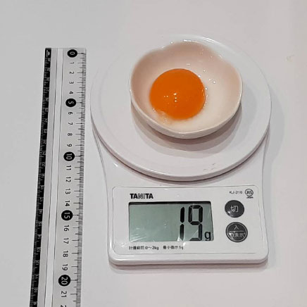 葛粉プリンに使用した卵黄19g