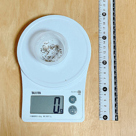 ウインナーのベーグルサンド1個分のこしょう