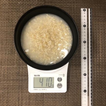 丼1杯・1人前の玄米のおかゆ