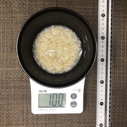 100g分の玄米のおかゆ