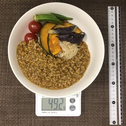 大皿1皿分の玄米のカレー