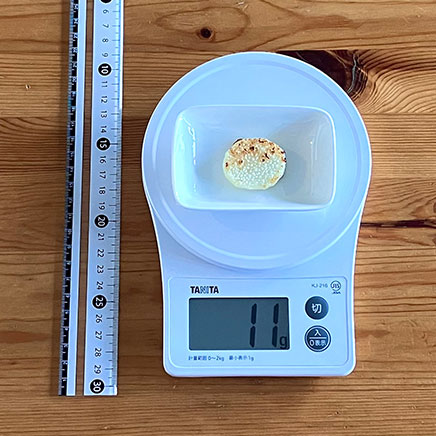 山芋１切れ分の山芋の塩焼き