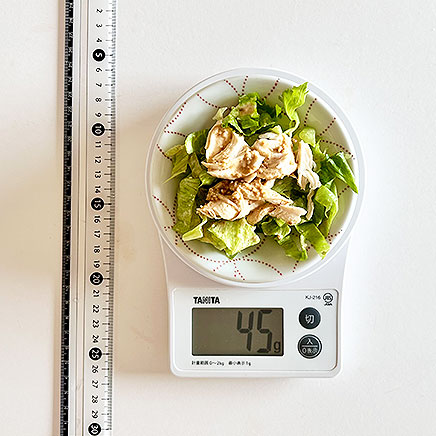 小皿1皿分のささみとレタスのごまドレッシングサラダ