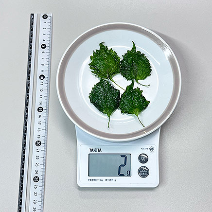 4枚分の大葉の素揚げ