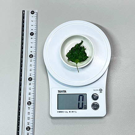 1枚分の大葉の素揚げ