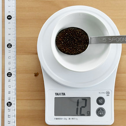 大さじ1杯分のチアシードドレッシング