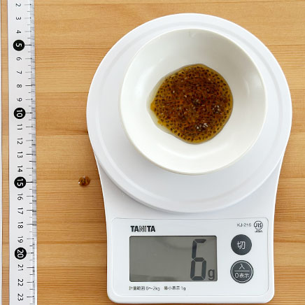 豆鉢に入れた小さじ1杯分のチアシードドレッシング