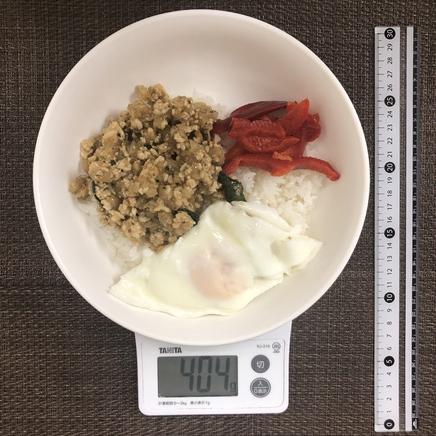 大皿1皿・1人前の鶏胸肉のガパオライス