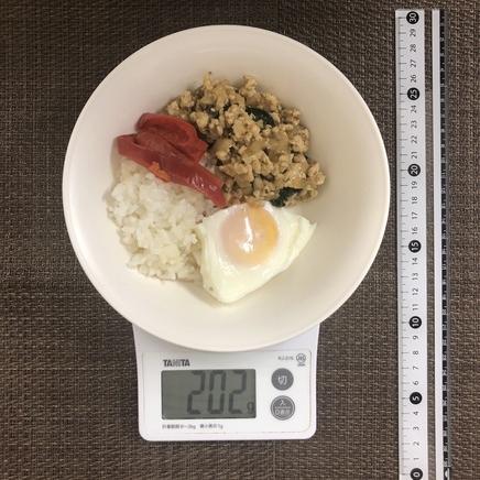 半人前の鶏胸肉のガパオライス