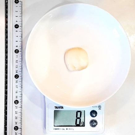 1枚分のコーンスターチクッキー