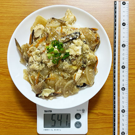 大皿1皿分のけんちん丼