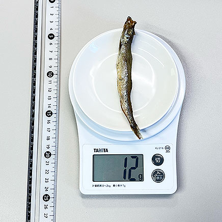 1本分のししゃもの素揚げ