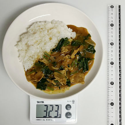 大皿1皿・1人前のほうれん草カレー