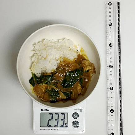 中皿1皿分のほうれん草カレー