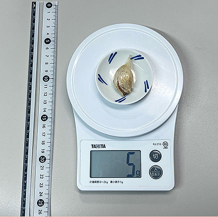 1片分のにんにくの素揚げ