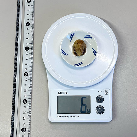 1片分のにんにくのバター焼き