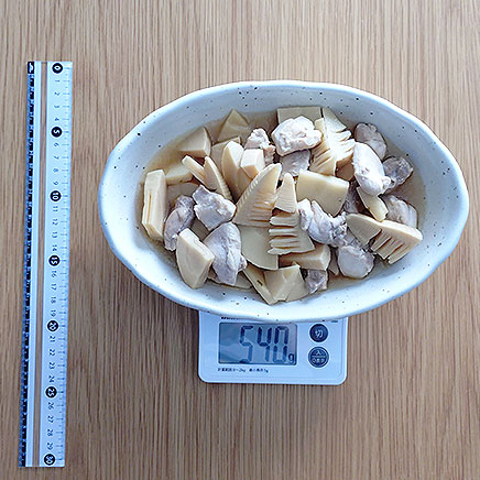 大皿1皿分のたけのこと鶏肉の煮物