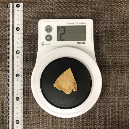 一欠片分の豆腐せんべい