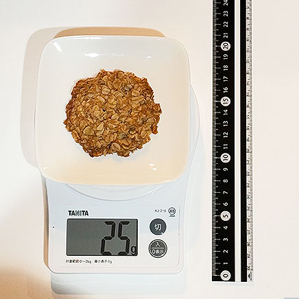 1枚分のオートミールクッキー