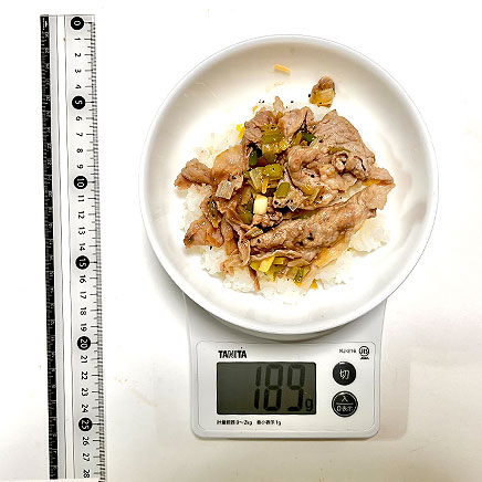 中皿1皿分のネギ塩豚丼