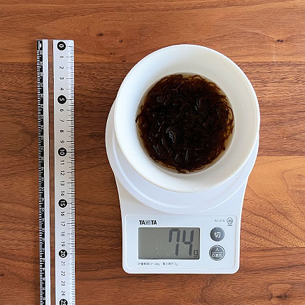 小鉢1杯分のもずくとろろに使用したもずく74g