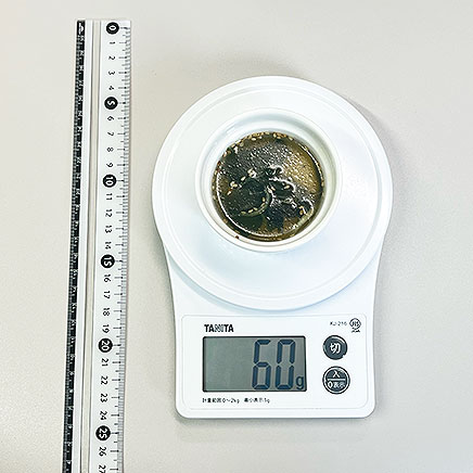 ココット1杯分の春雨とわかめのスープ