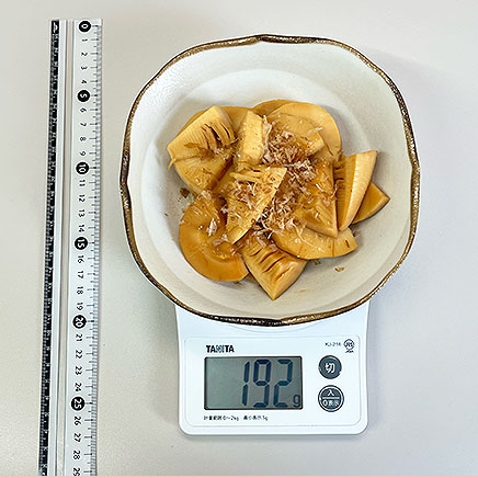 中皿1皿分のたけのこの煮物