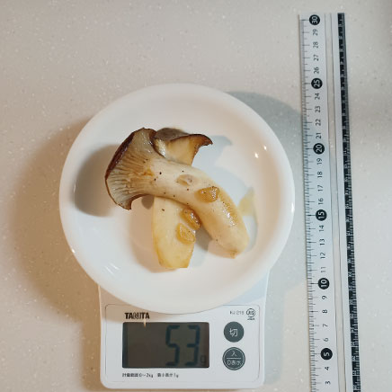 1本分のエリンギステーキ