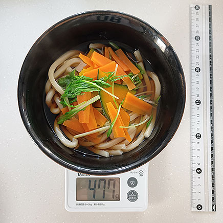 丼（大）1杯分の野菜 うどん