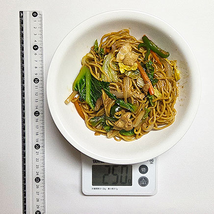 中皿(大)1皿分の五目焼きそば