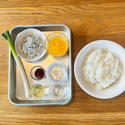 深皿（大）1皿分のしらすチャーハンに使用した材料（ネギ、しらす、卵、醤油、塩、サラダ油、料理酒、ご飯）