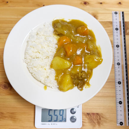 大皿１皿分の米粉カレー