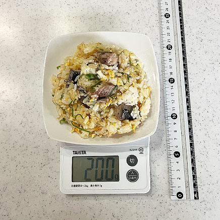 中皿1皿分のサバチャーハン
