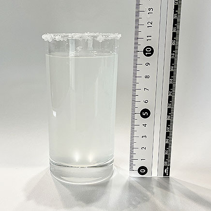 200mlのグラス1杯分のソルティドッグ