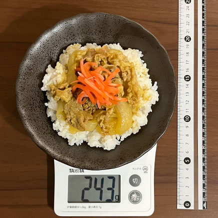 深皿(中)1皿分のカレー牛丼