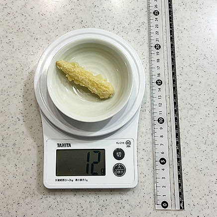 1本分のヤングコーンの天ぷら