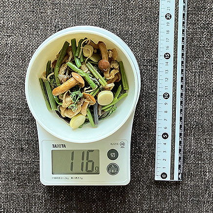 深皿（小）1皿分の山菜の煮物