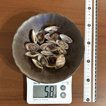 中皿1皿分のあさりの赤ワイン蒸し