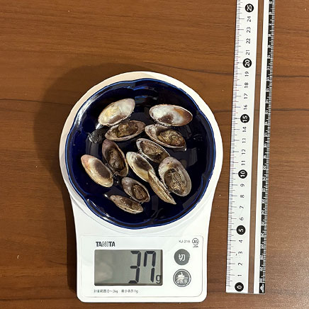 小鉢1杯分のあさりの赤ワイン蒸し