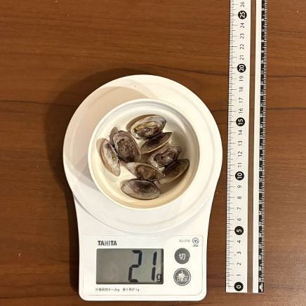 豆鉢1杯分のあさりの赤ワイン蒸し