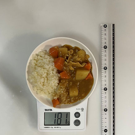 深皿(中)1皿分のカリフラワーライスのカレー