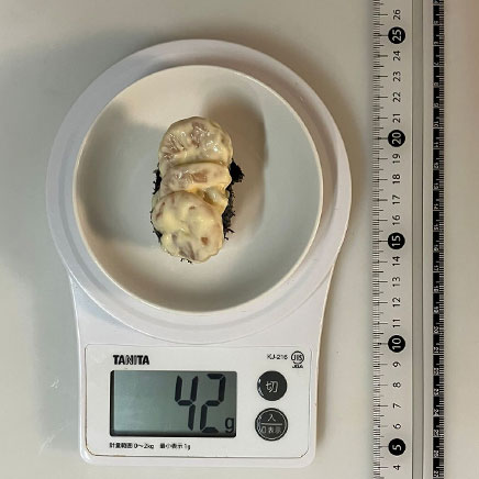 1貫分のエビマヨ軍艦