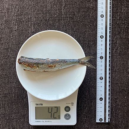 1尾分のいわしの塩焼き